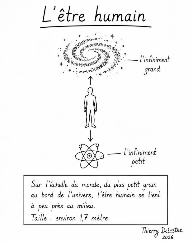 Sch&eacute;ma : l'&ecirc;tre humain, &agrave; mi-chemin entre l'infiniment petit et l'infiniment grand