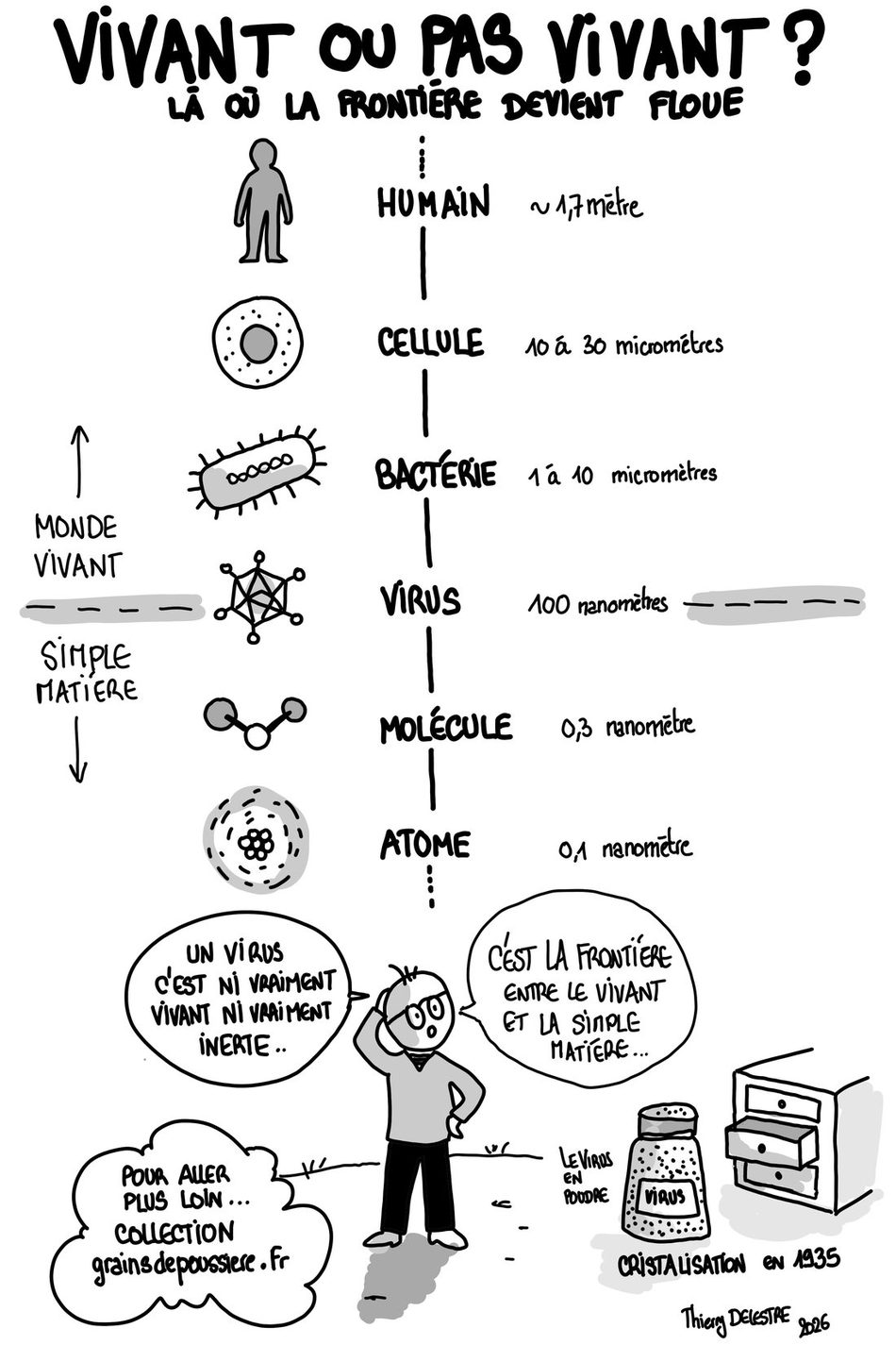 Planche : vivant ou pas vivant ?